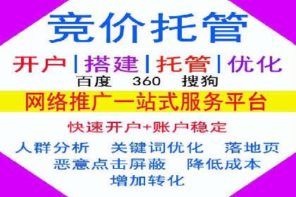 SEM优化策略：打造高效广告投放案例